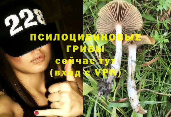 мяу мяу мука Козельск