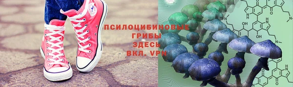 твердый Карпинск